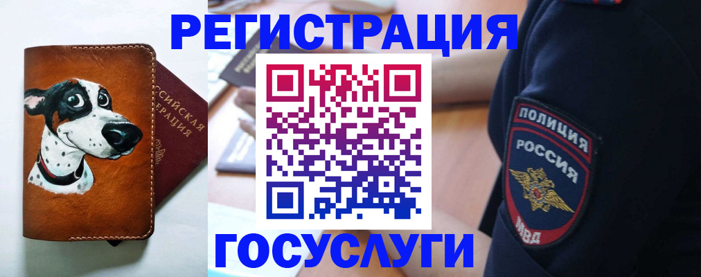 временная регистрация в квартире в Светлограде